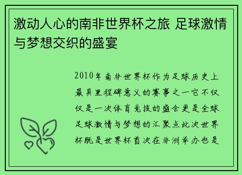 激动人心的南非世界杯之旅 足球激情与梦想交织的盛宴